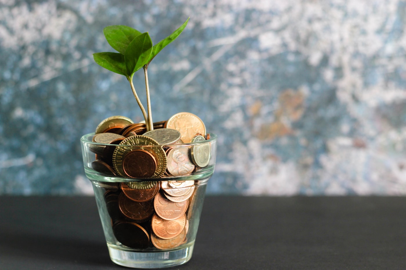 Vaso de cristal lleno de monedas con una pequeña planta verde brotando, símbolo de una inversión que crece